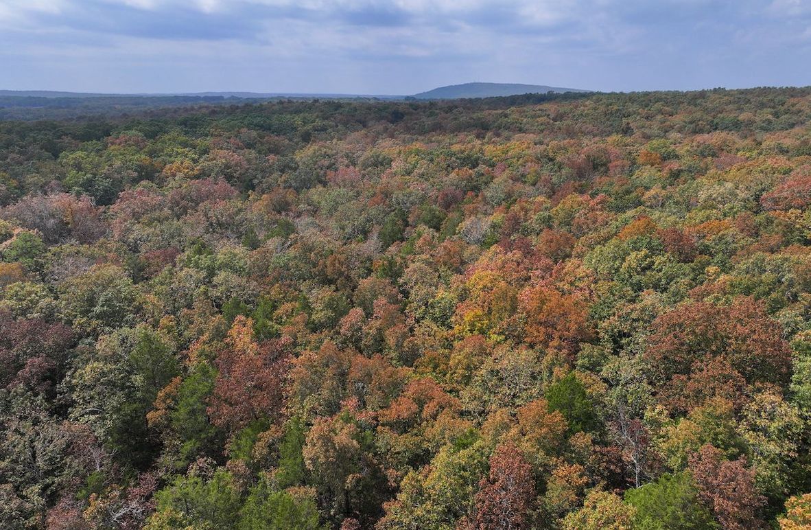 DJI_20250904123912_0570_D