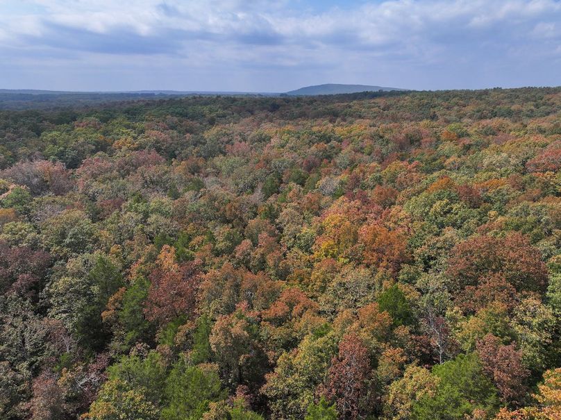 DJI_20250904123912_0570_D