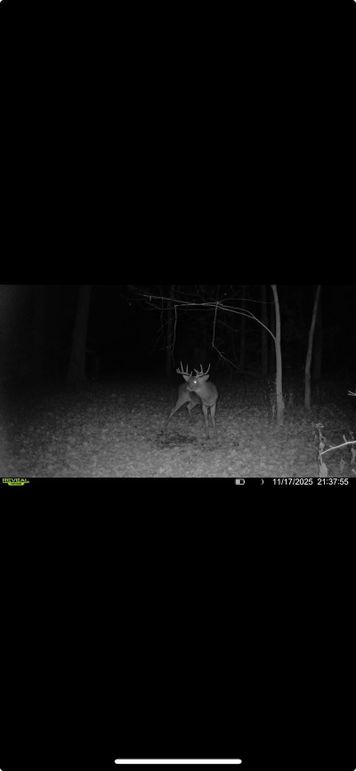 Screenshot 2026-01-06 at 4.32.48 PM