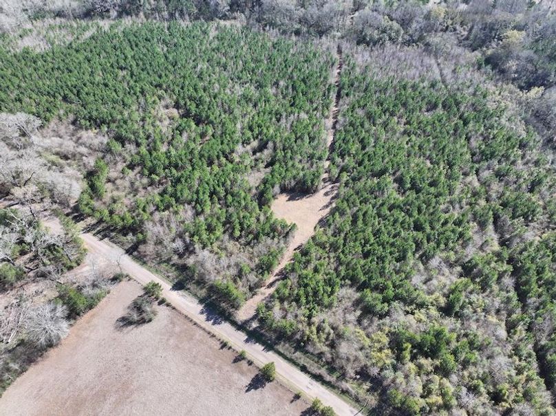 dji_fly_20260302_130632_0345_1772559698989_photo