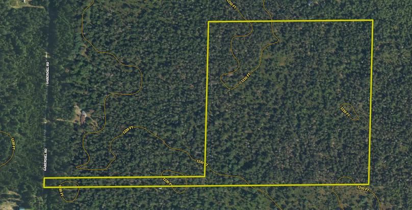 Screen Shot 2024-07-19 at 12.20.45 PM