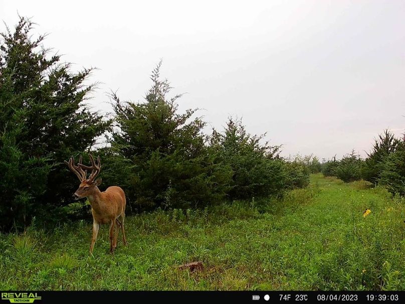 01A75E8C-25A6-49A2-9FB4-5DF849D4D4F1