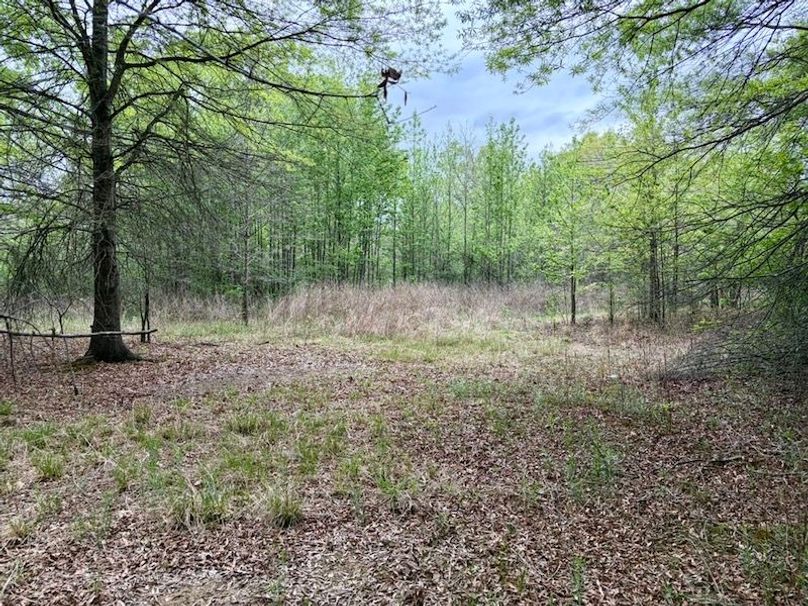 A361D620-FDB3-4786-BE55-E5247C113EB1_1_105_c