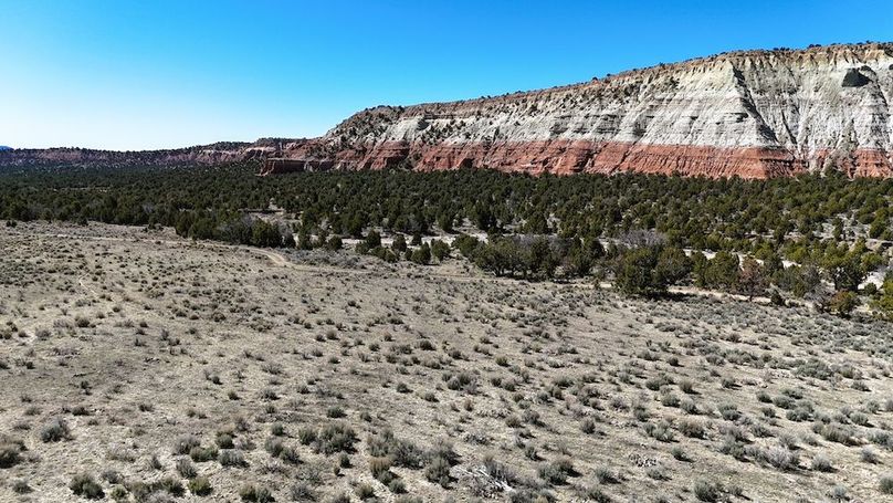 DJI_20240403111836_0154_D