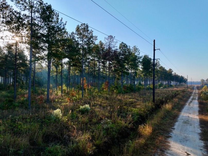 55BBF8CC-2A44-43E2-BF30-EC2D6C34341D_1_105_c