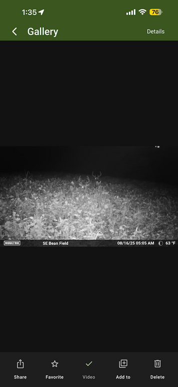 trailcam24