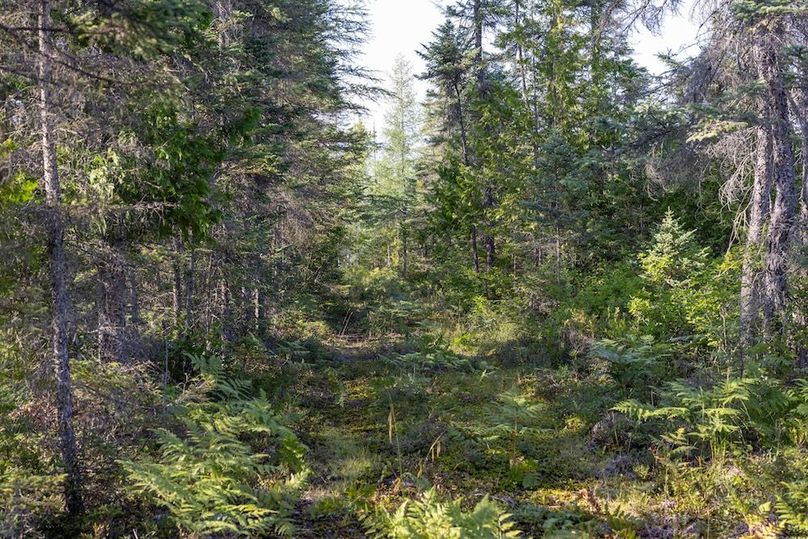 Mackinac 320 Copenhaver-80