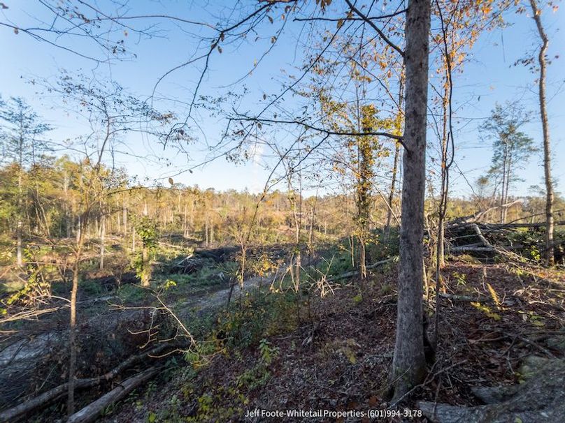 Claiborne Co-151-Geronimo-21