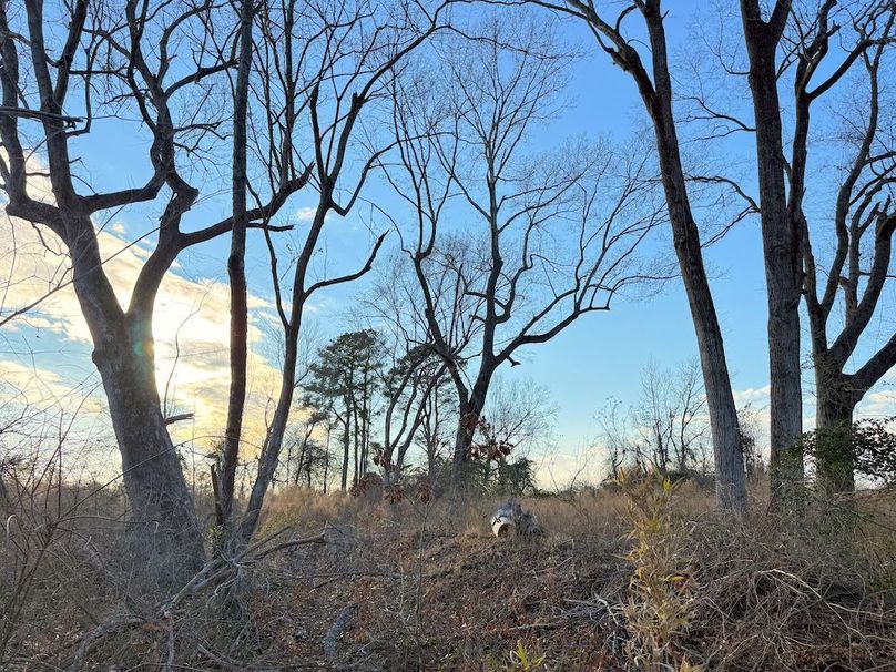 61451E41-FFD4-468F-9635-5D25A5624DFB