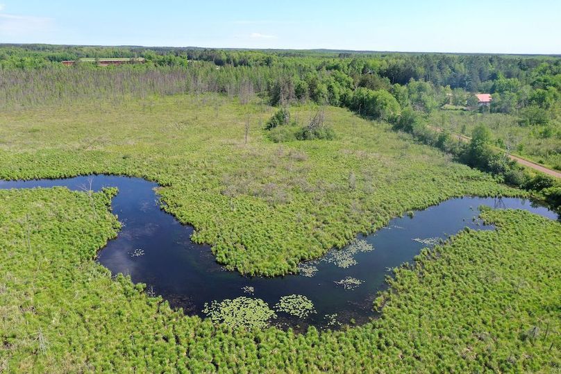 org_40d0337690f08c8a_1717337122000