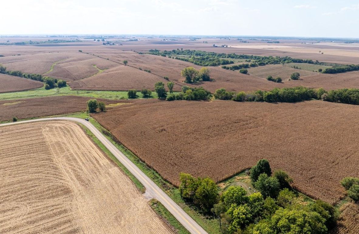 Copy of Whiteside 181_4