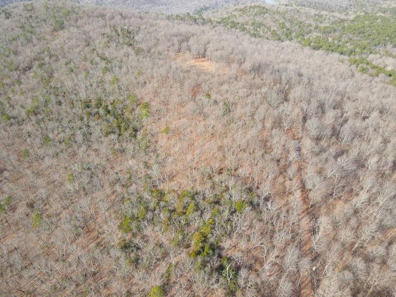 DJI_0646