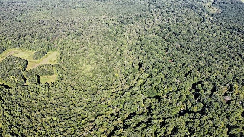 dji_fly_20250726_090822_502_1753535328377_photo_optimized