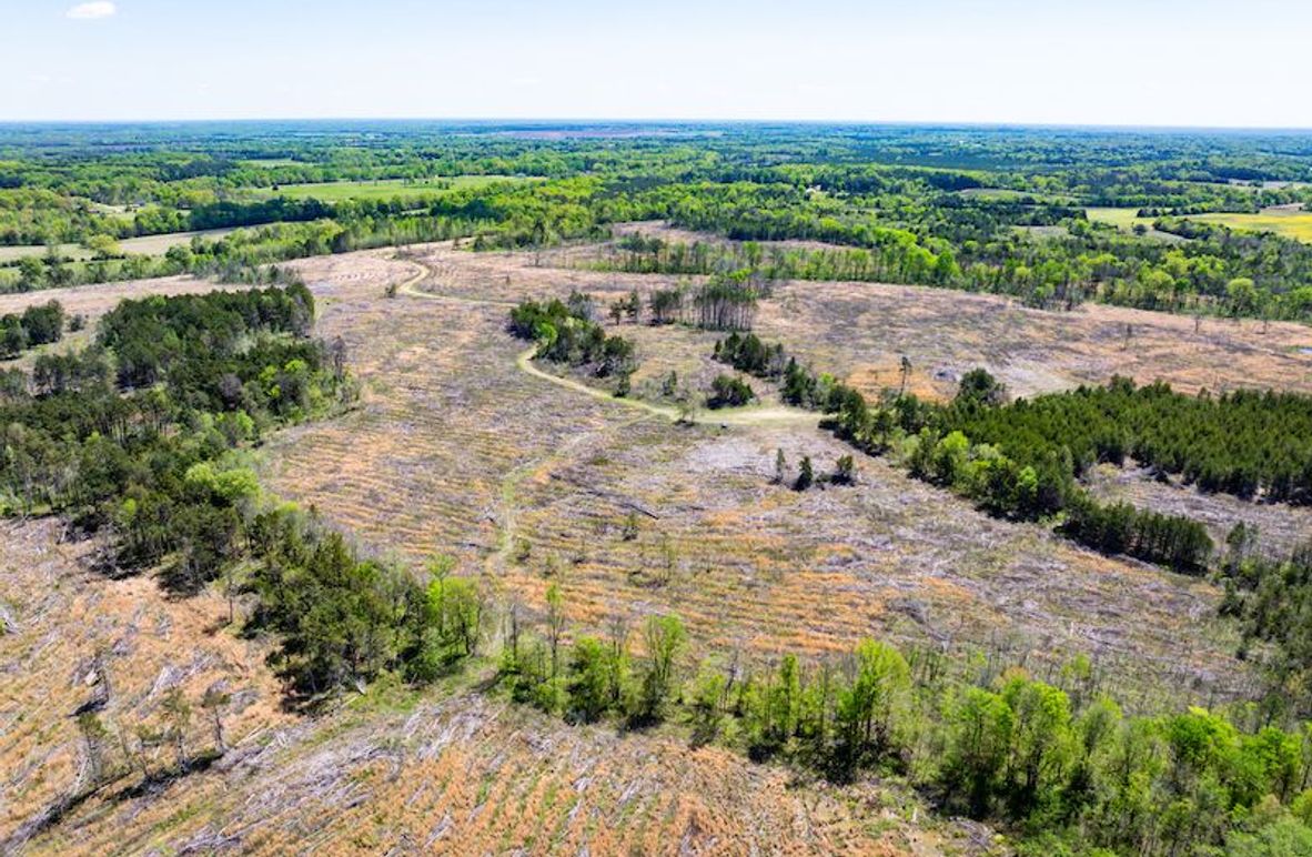 Chickasaw 165 Woods-04