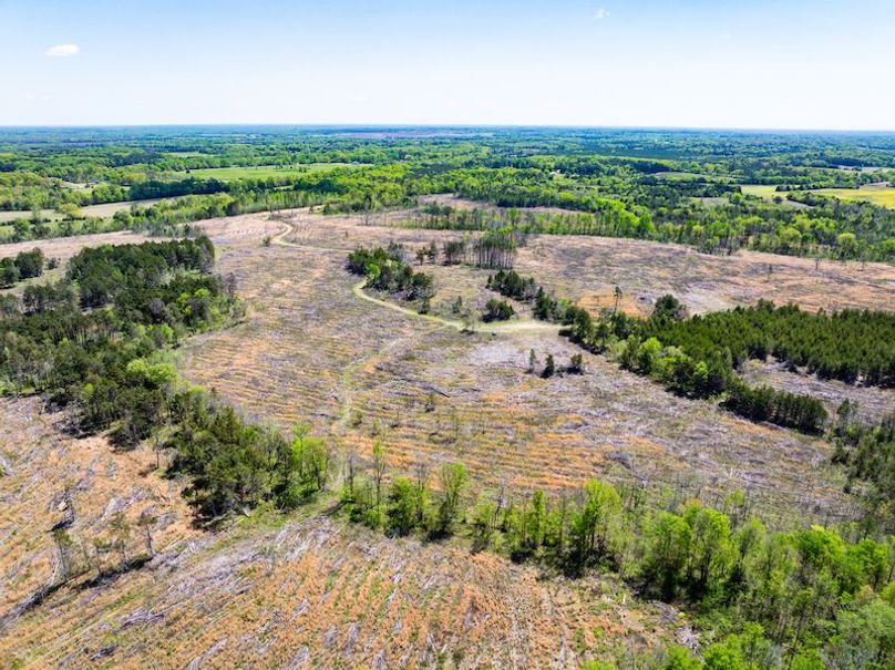 Chickasaw 165 Woods-04