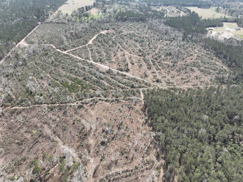 dji_fly_20260303_140306_304_1772637908982_photo