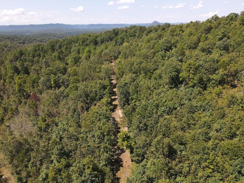 dji_fly_20250902_122130_758_1756833715313_photo