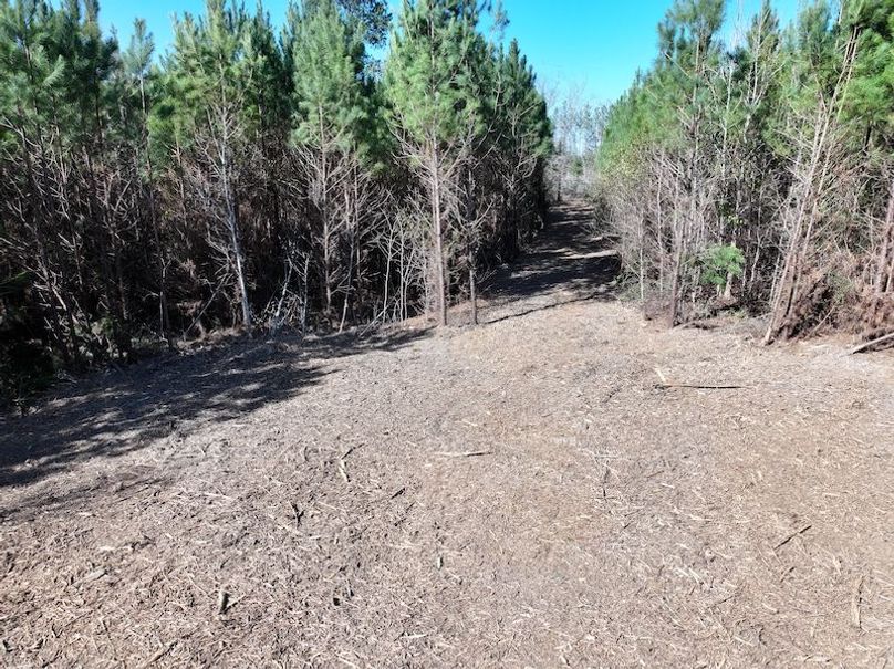 dji_fly_20260302_130336_0337_1772559701766_photo