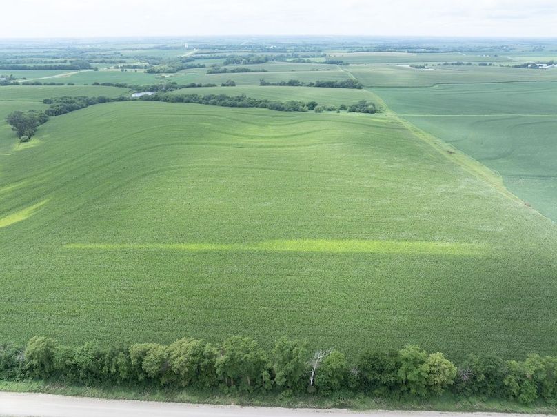 Copy of DJI_20250720133602_0071_D