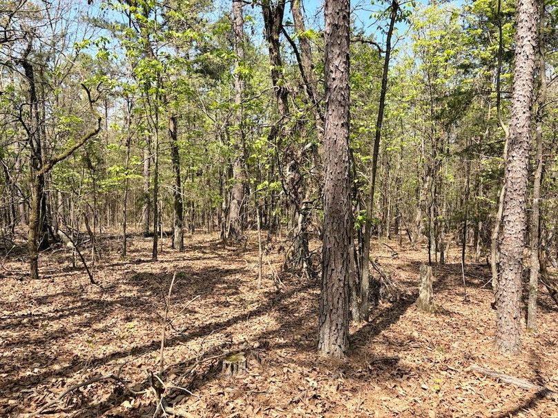 CFC73621-298C-428D-A6BC-C5913542ADE3_1_201_a