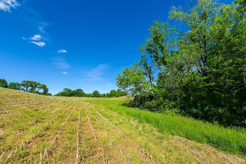 Copy of st clair 25 auction(13)