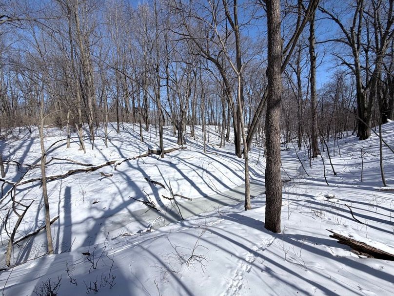 2.Copy of Tract 5 SW corner Creekbottom 3 Large