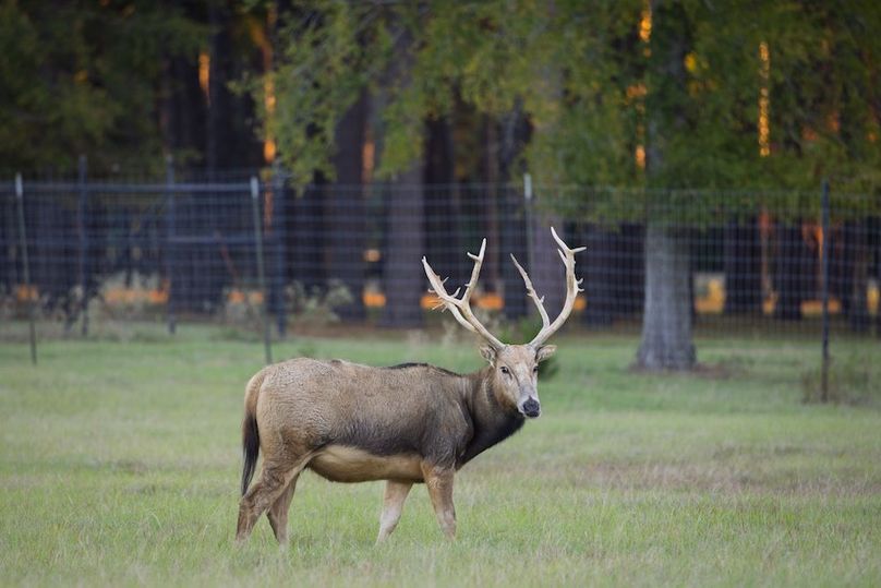 23 harrison 417ac pics-034