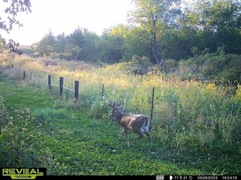 864049055283404-100-4-09272023220603-HD-SYEW9957