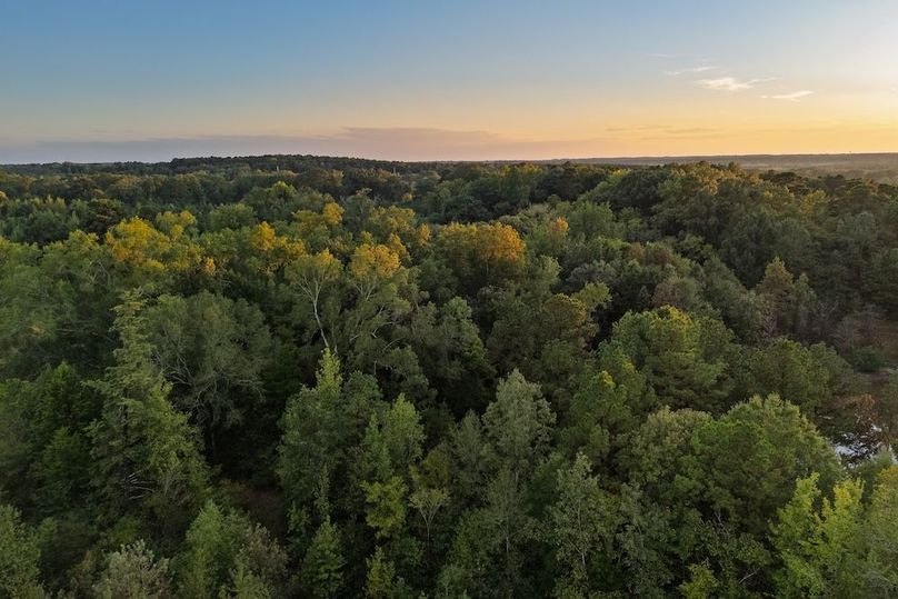 58 DJI_20251007184512_0466_D