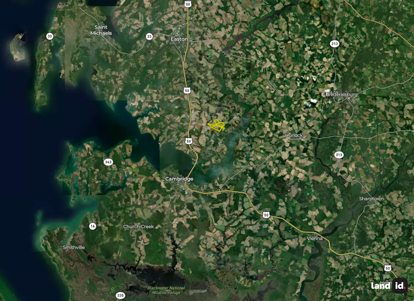 Screenshot 2026-02-12 at 3.55.16 PM