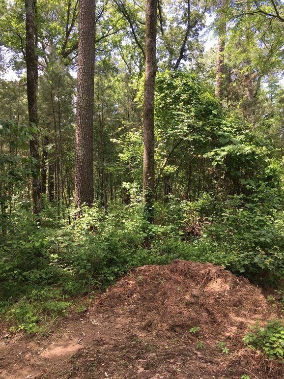 70FA1FF9-1C39-4D9C-89A0-AF358C84F890_1_105_c