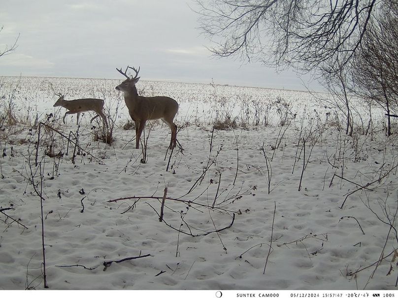 2024-1205-155748_000541