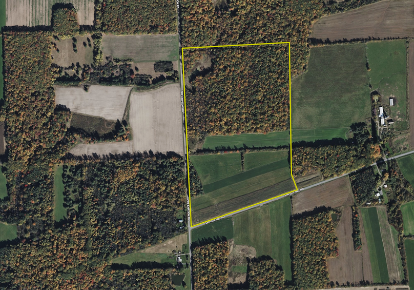 Yates Co, NY 542.aerial.Tract 1