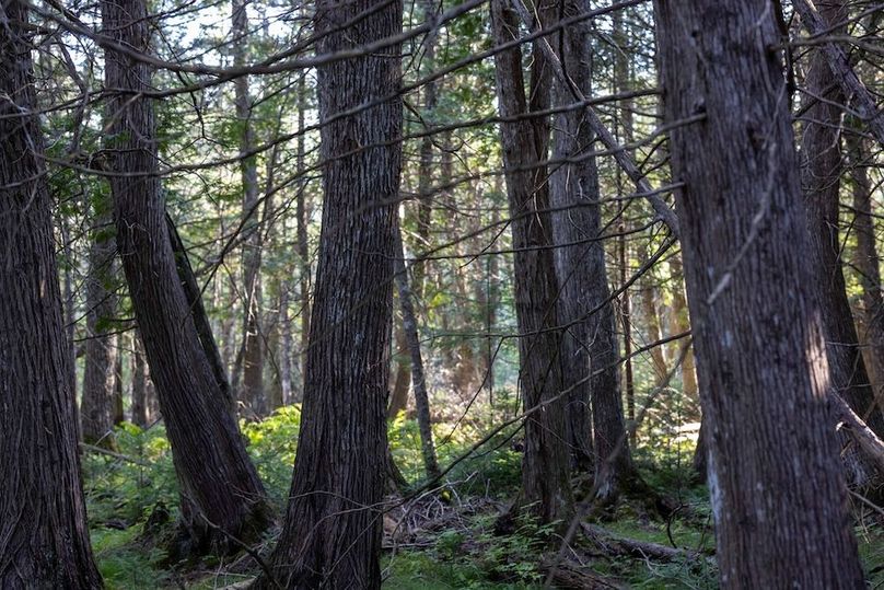 Mackinac 320 Copenhaver-91