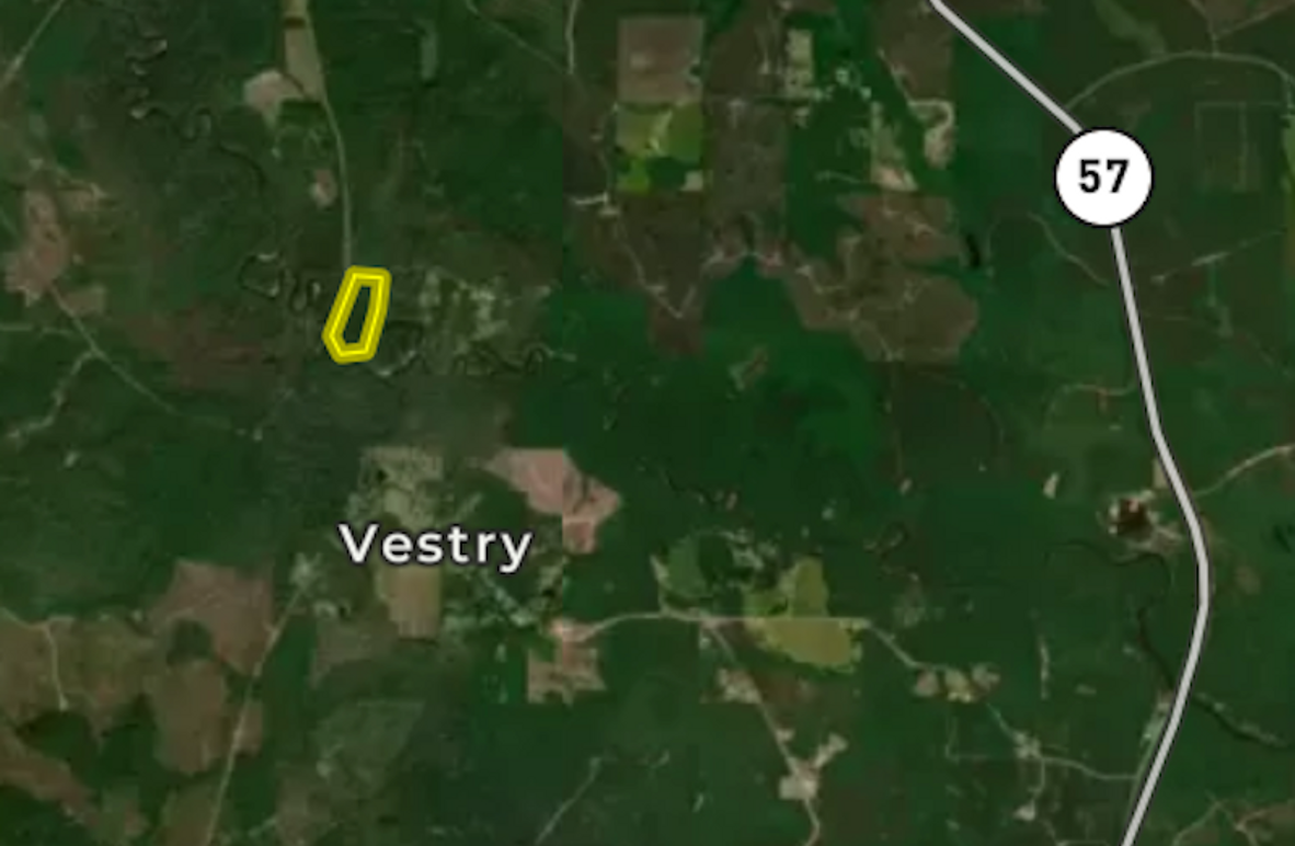 Screen Shot 2025-07-24 at 8.35.18 PM