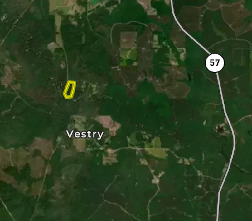 Screen Shot 2025-07-24 at 8.35.18 PM