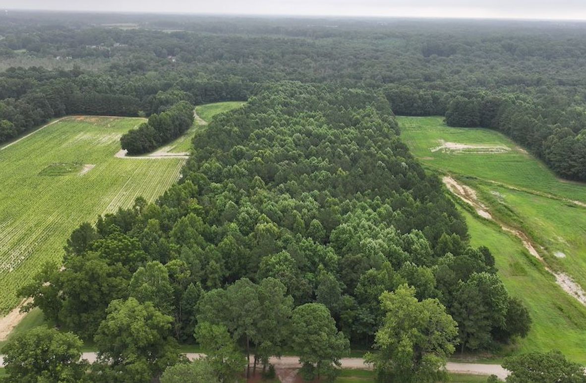 DJI_20250715003121_0167_D