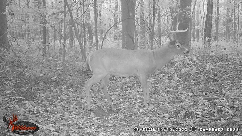 trail cam37