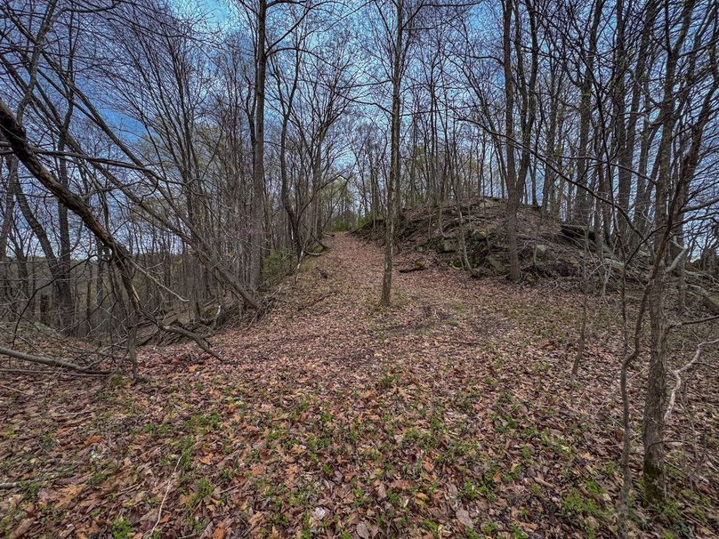 Wirt, WV 39.564 AC Full-16
