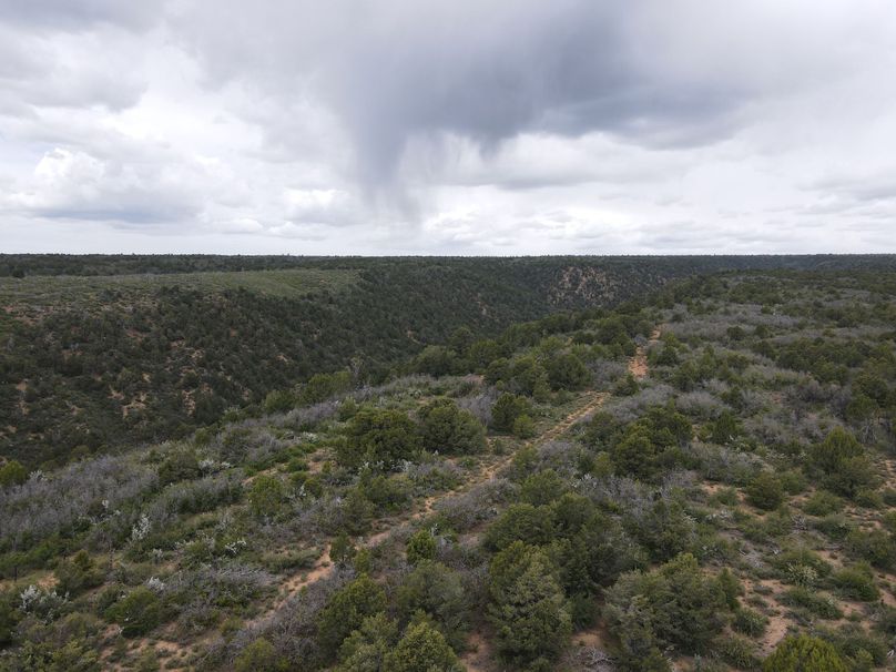 dji_export_1685968245019