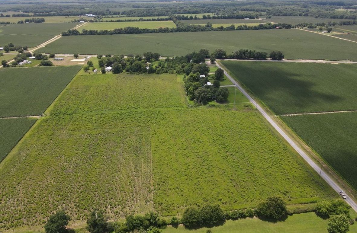 dji_fly_20250611_133800_571_1749667091757_photo 4