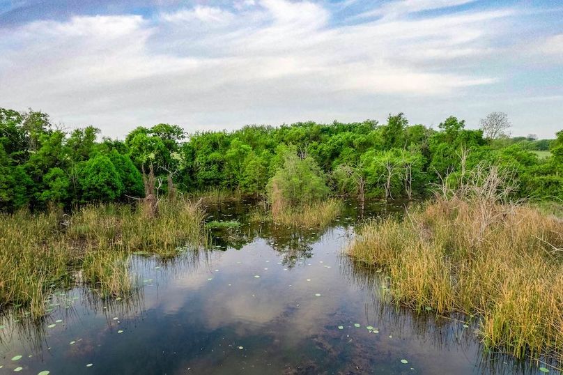 Lamar County- 89.8 acres-43