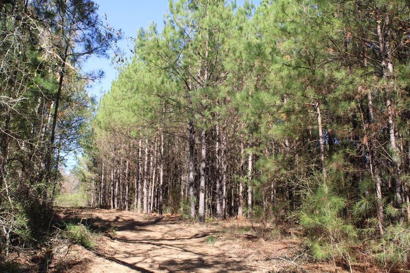 91ED7796-E4F7-4775-A99F-2CC5401F6F37_1_105_c