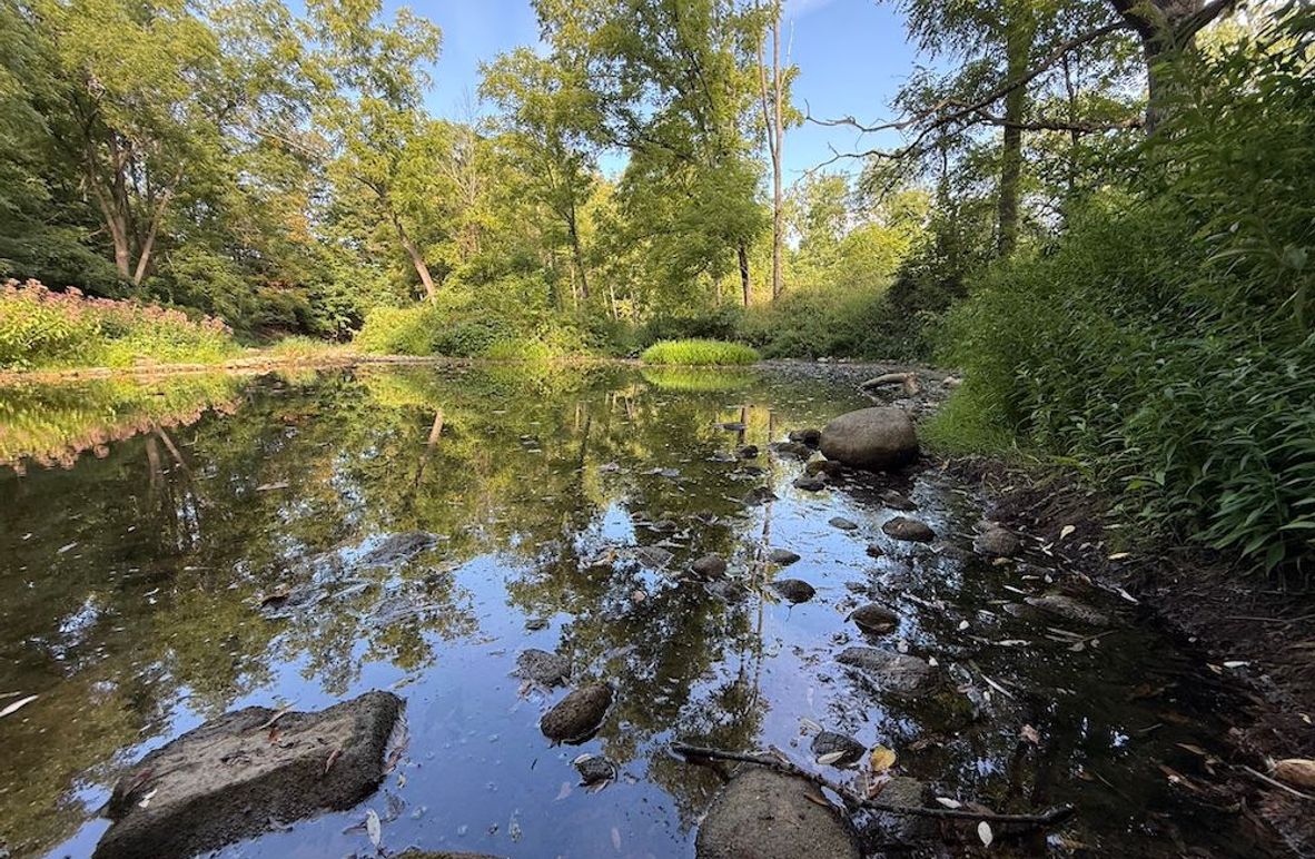 Cayuga_5.7_Cotten Photo 2