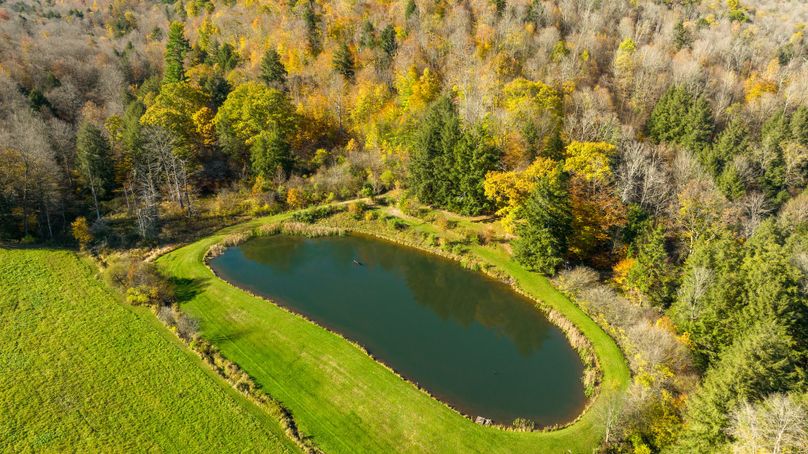 Elk PA 7000 Feature_Pro Photo-108