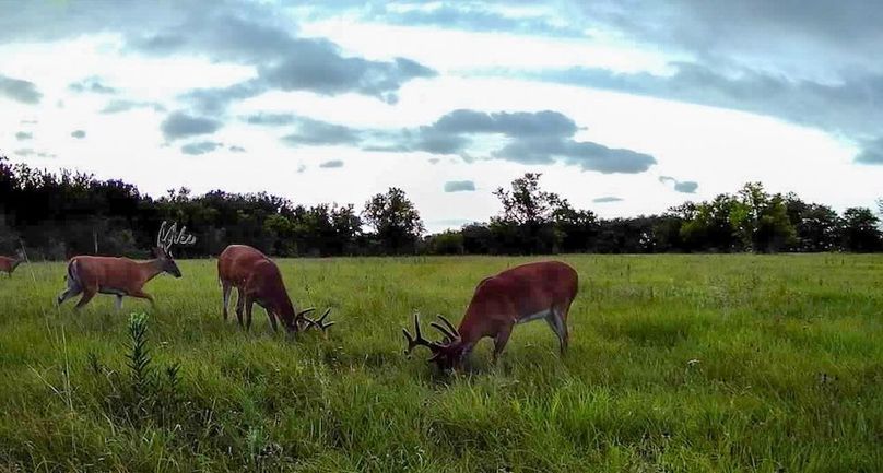 Copy of 016578004545254-100-2-07302025195019-SYFW00277