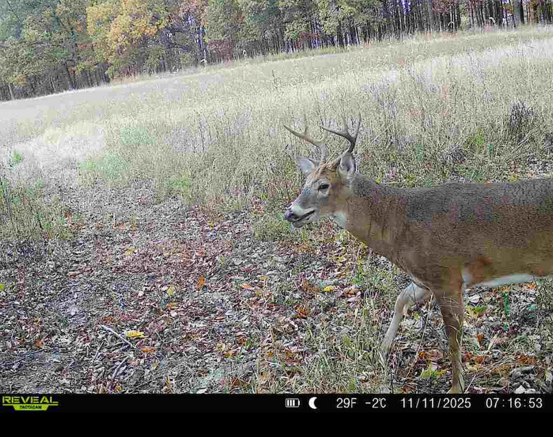 Screenshot 2026-04-09 at 12.53.17 PM