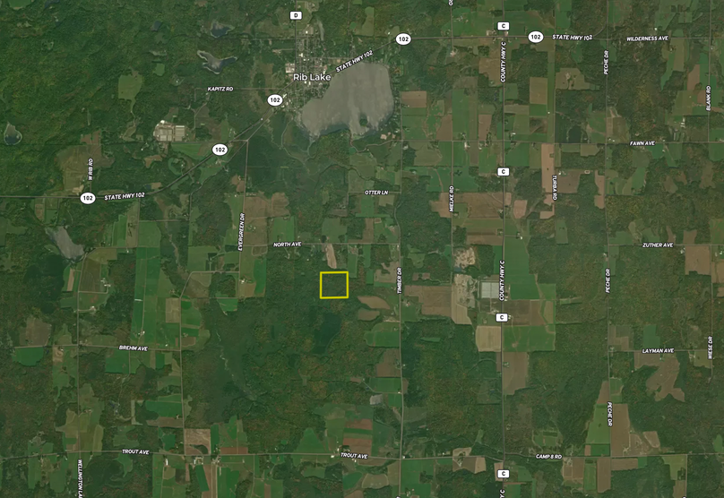 Screen Shot 2023-06-15 at 10.53.07 AM