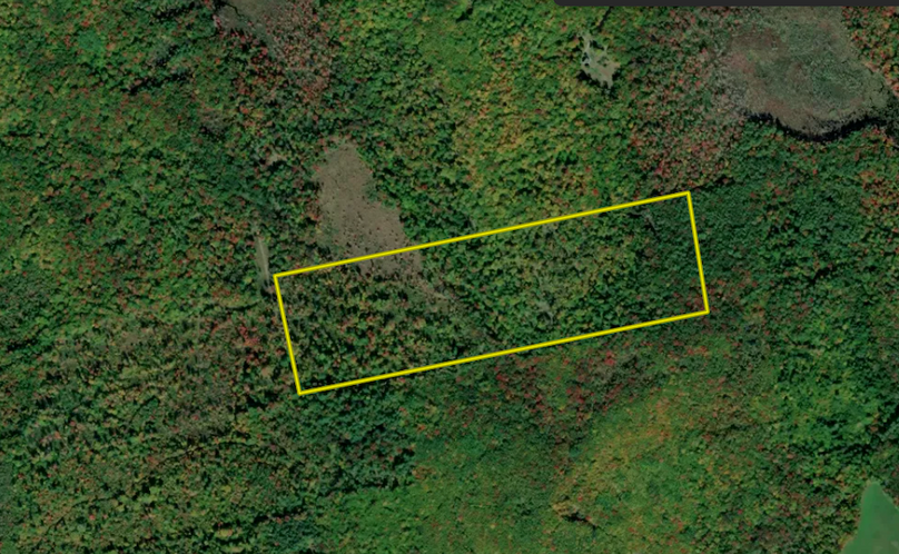 Screenshot 2026-03-03 at 10.38.58 AM