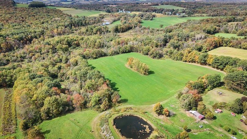 Cayuga_55.02_Herman Photo 42